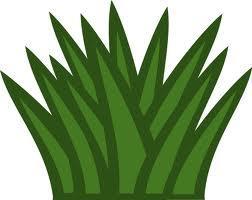 JizusU