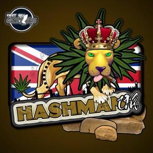 HashmanUK1