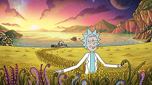 MellowFellow