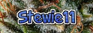 stewie11