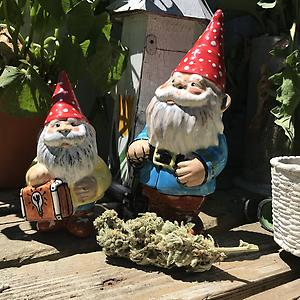 Deutsche Bud