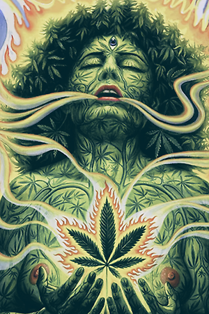 afc89green