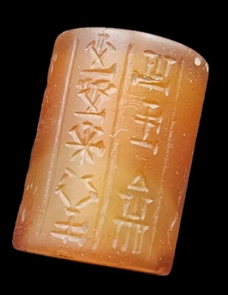 Anasrzi