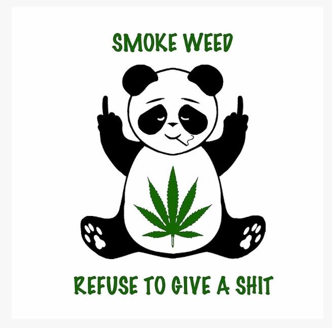 KingPanda