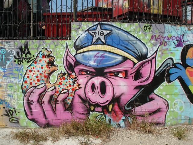 MC 5o