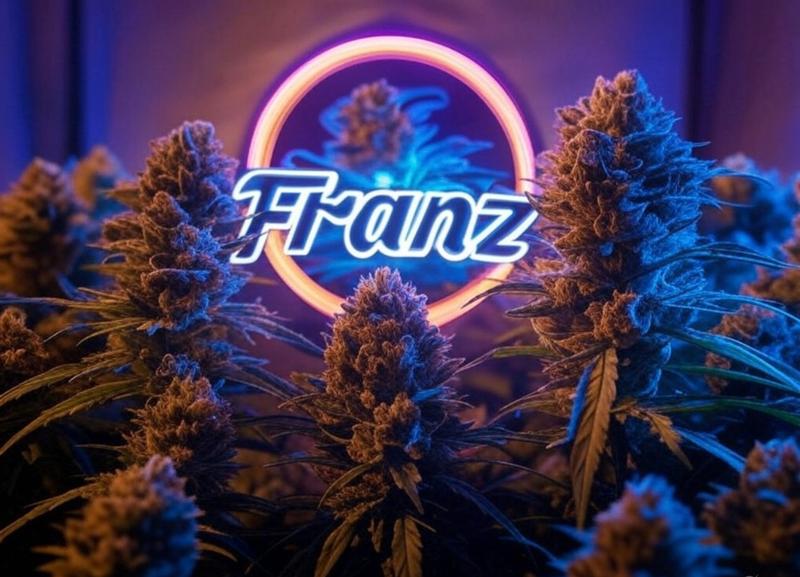 Franz