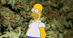 MastaRasta86