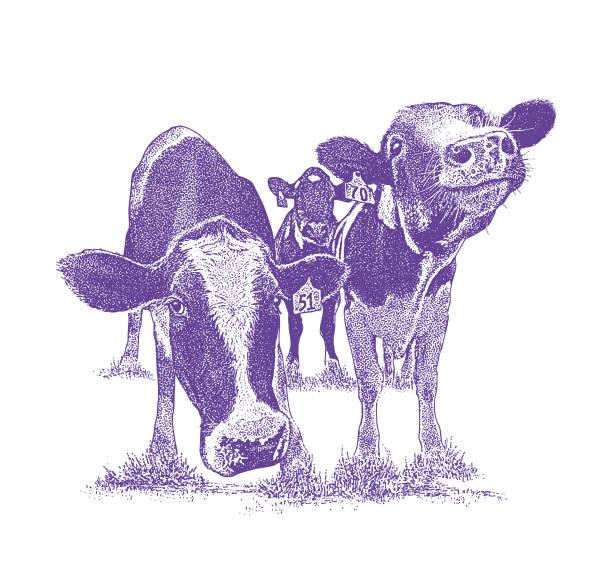 purplesmile