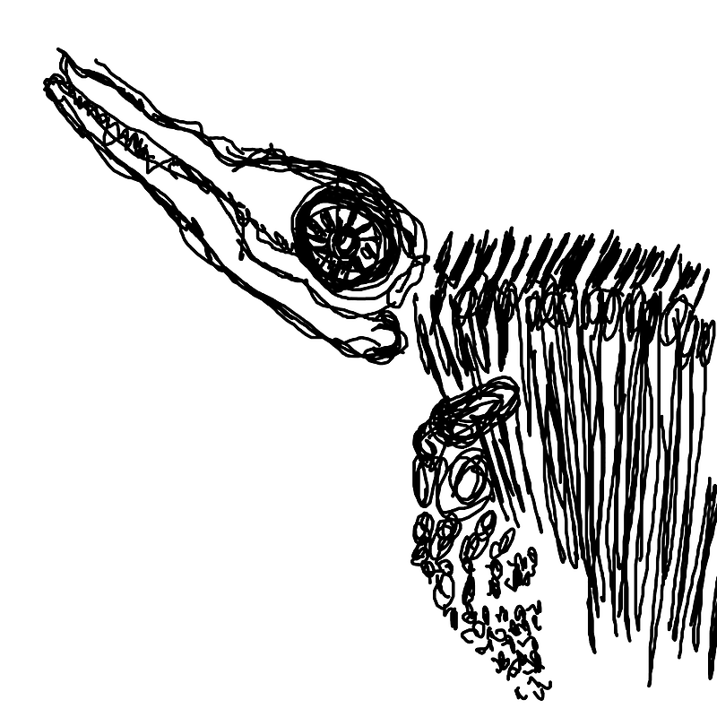 Ichthyosaur