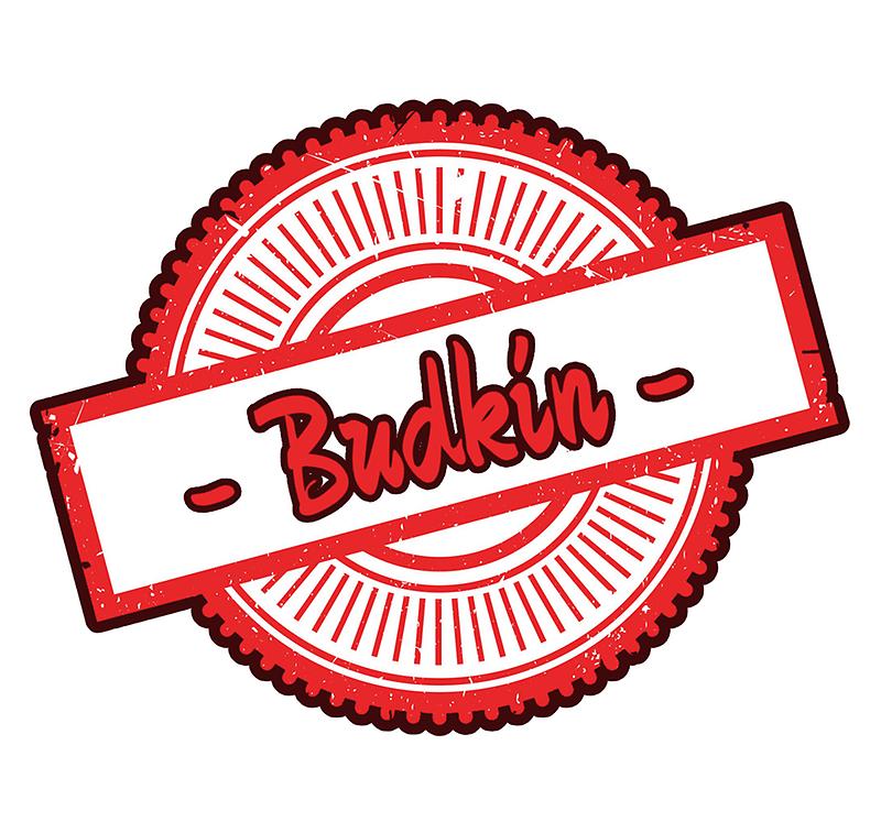 Budkin