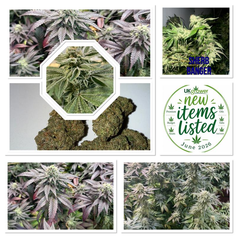 Ukgrower2