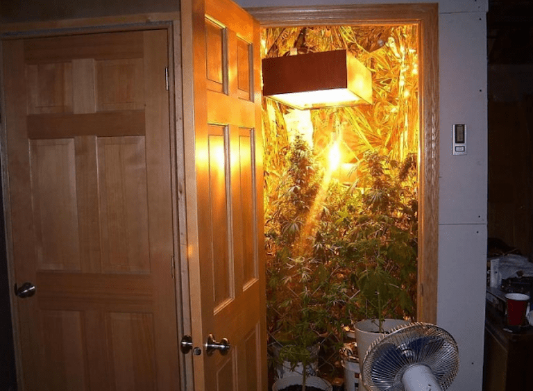 {growing bud}