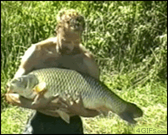 Carping420